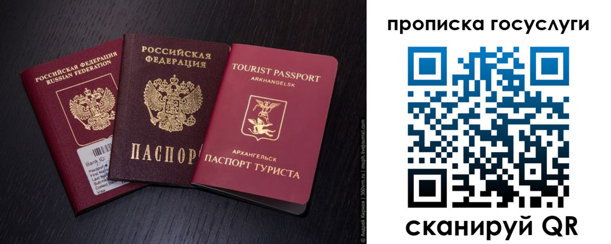 прописка 2025 в Чаплыгине